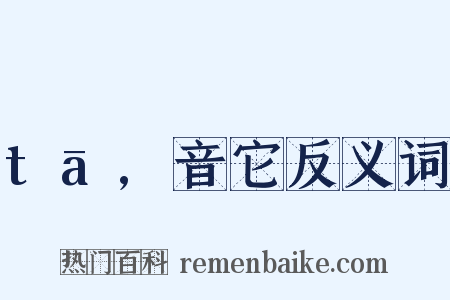 tā,音它反义词是什么意思的图片